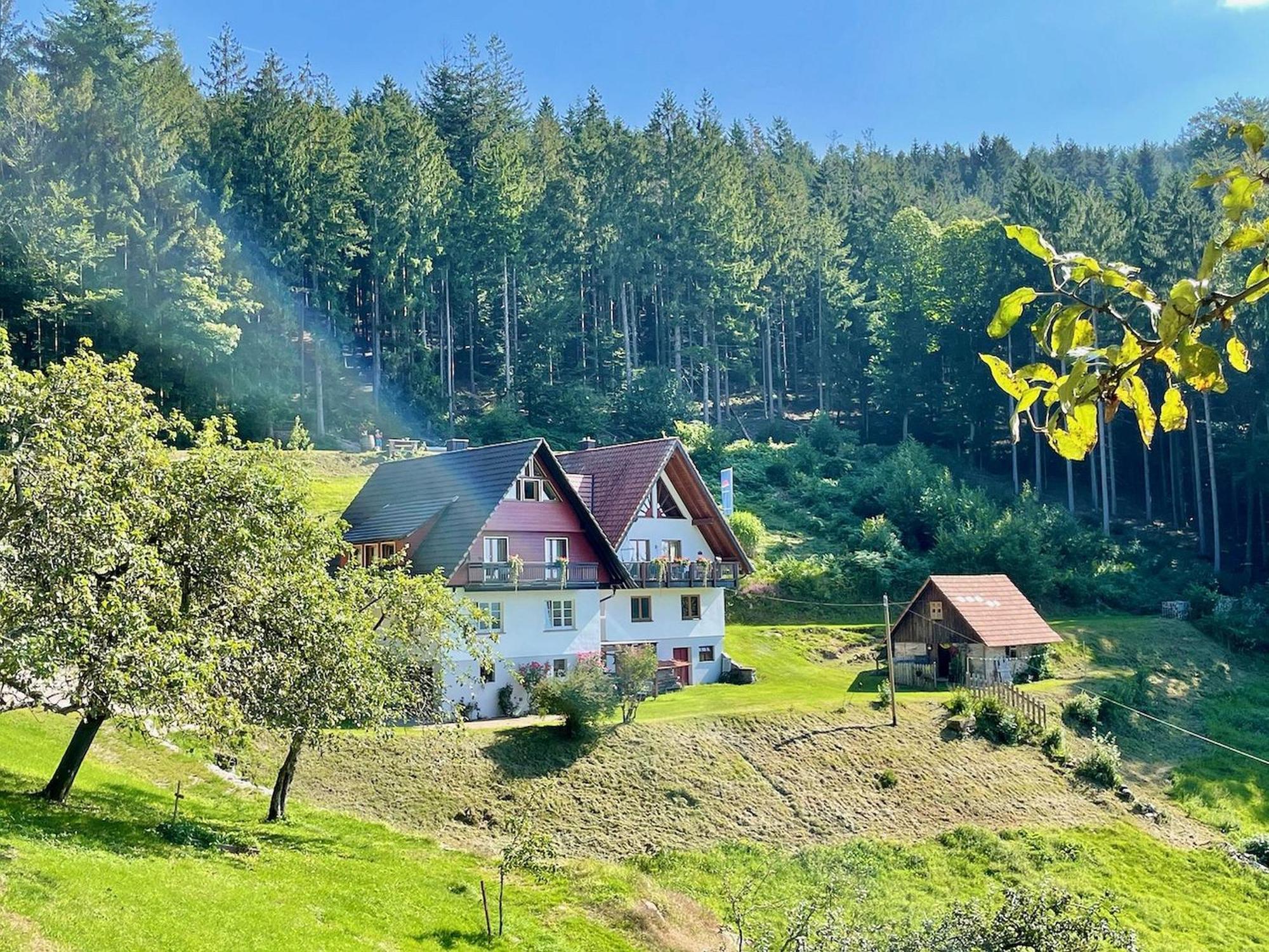 Ferienwohnung Deine Rauszeit Seebach Exteriör bild
